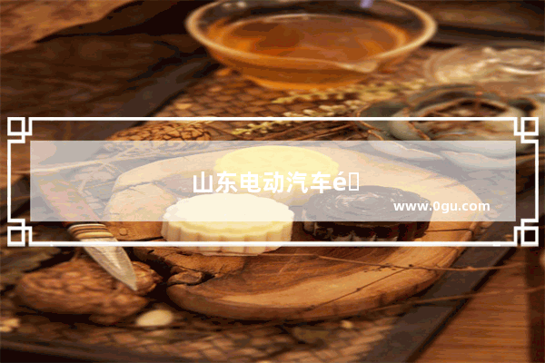 山东电动汽车销量排名前十