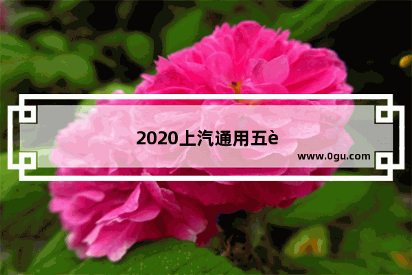 2020上汽通用五菱10月销量