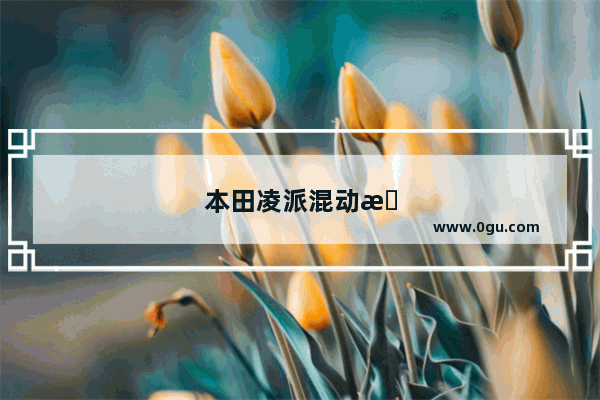 本田凌派混动排名