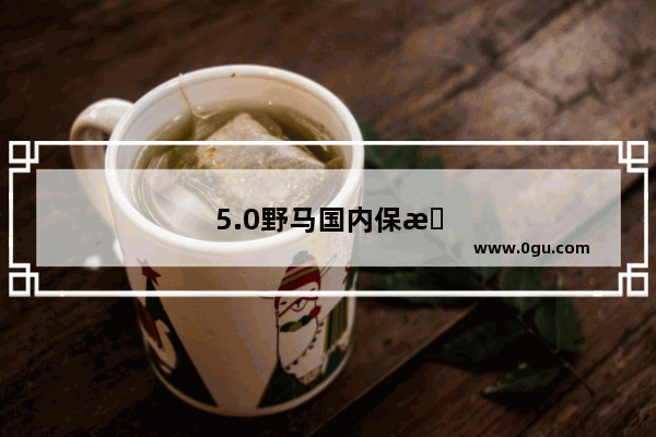 5.0野马国内保有量