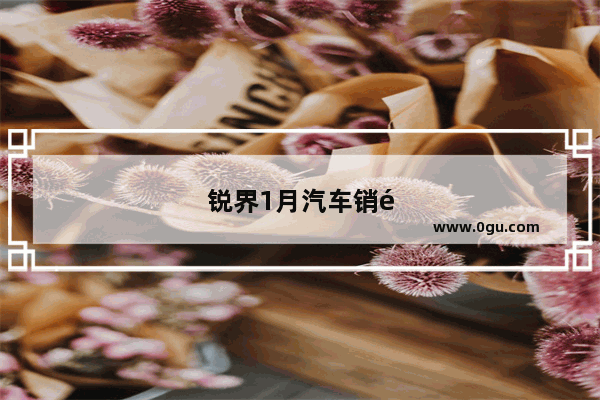 锐界1月汽车销量如何