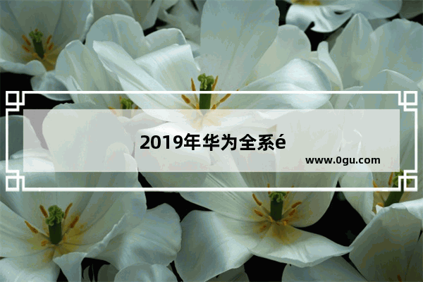 2019年华为全系销量