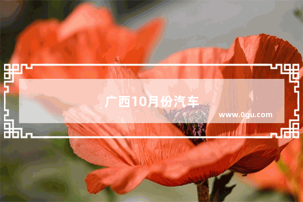 广西10月份汽车销量排行榜