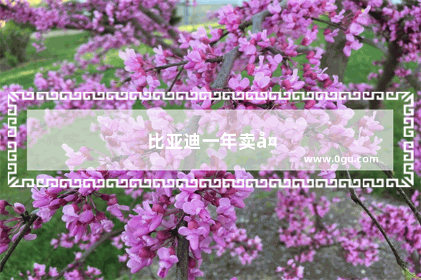比亚迪一年卖多少辆车