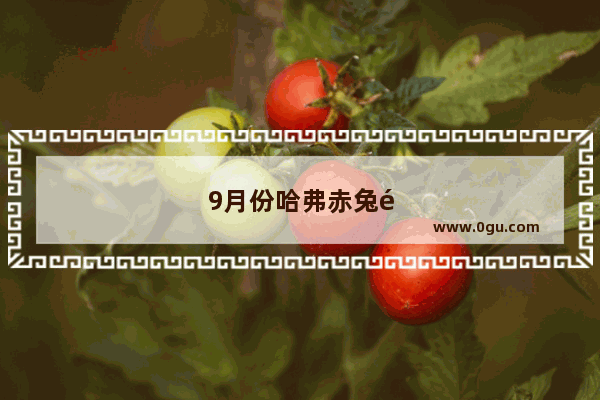 9月份哈弗赤兔销量排行榜