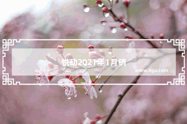 悦动2021年1月销量
