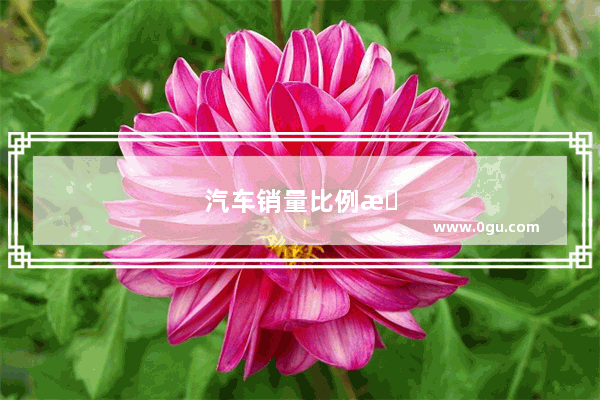 汽车销量比例有什么变化吗
