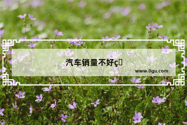 汽车销量不好的店铺有哪些