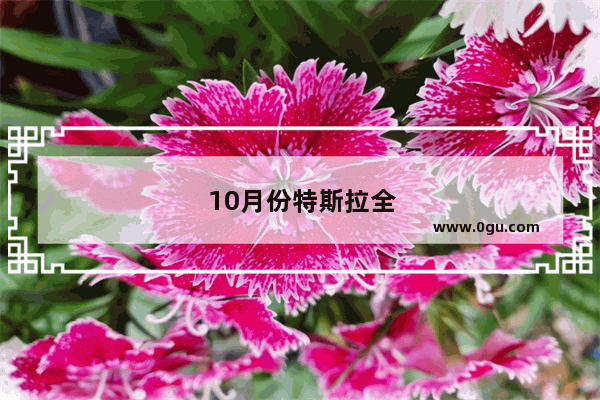 10月份特斯拉全球销量