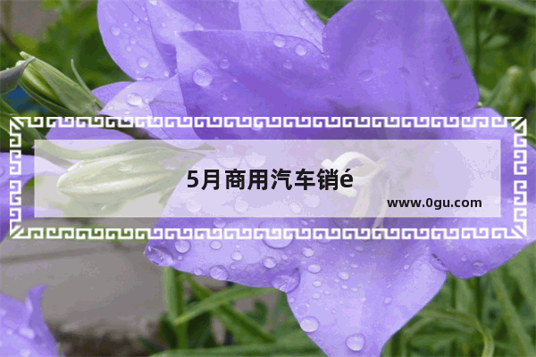 5月商用汽车销量榜单