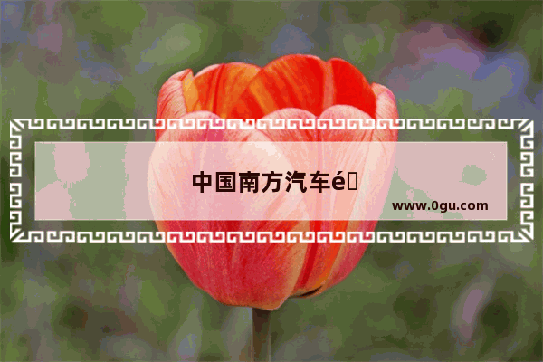 中国南方汽车销量排行榜