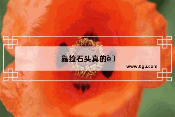 靠捡石头真的能养家糊口吗
