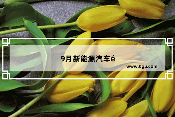 9月新能源汽车销量排名