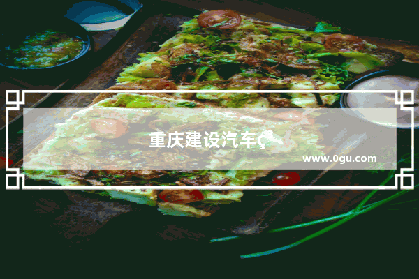重庆建设汽车系统有限公司怎么样
