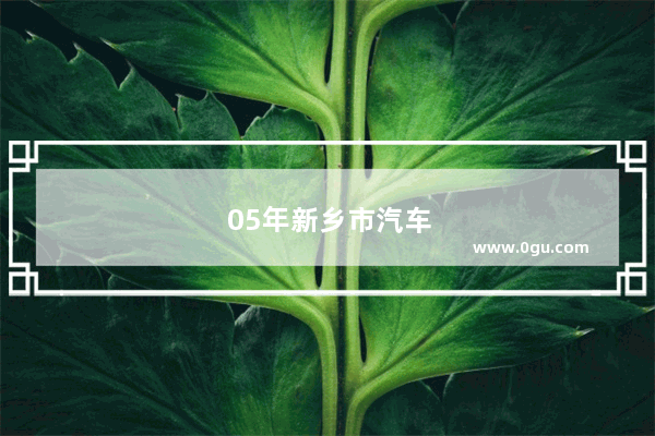 05年新乡市汽车销量车型