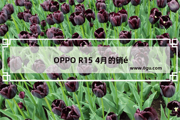 OPPO R15 4月的销量和华为p20相比 怎么样