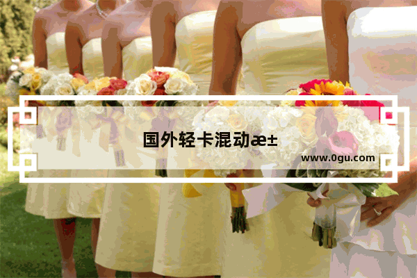 国外轻卡混动汽车销量排名榜