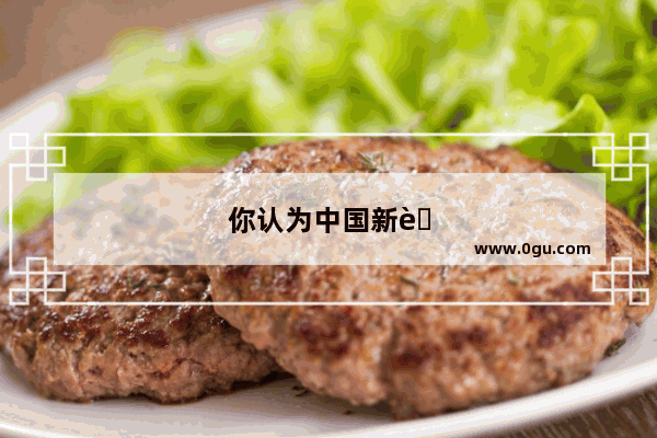 你认为中国新能源汽车的前景怎么样？方向正确吗