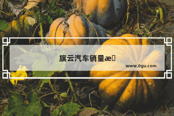 旗云汽车销量排名第几