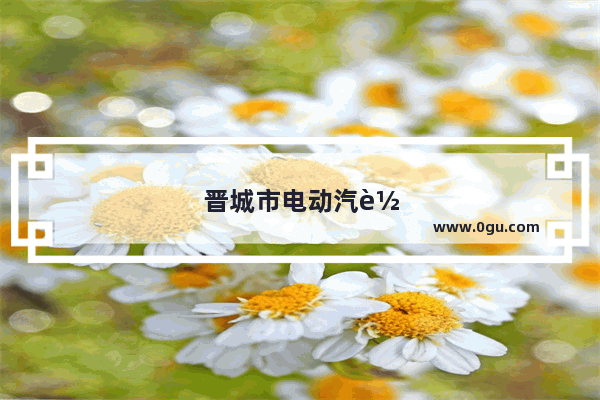 晋城市电动汽车销量排名