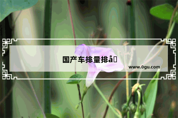 国产车排量排名