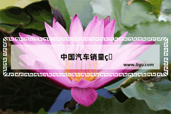 中国汽车销量百强榜排名
