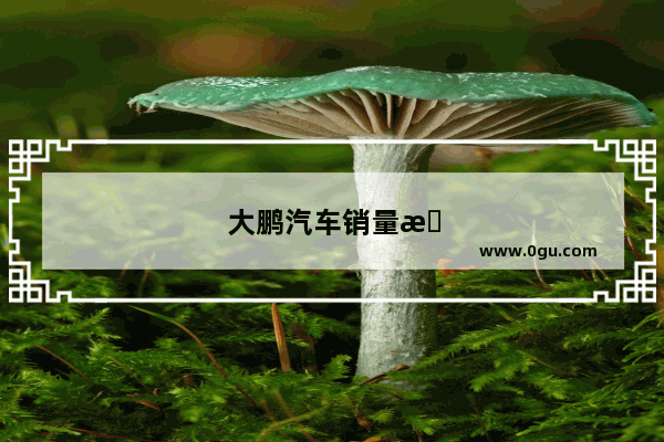 大鹏汽车销量排名榜