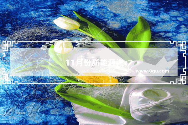 11月份新能源汽车型号销量排行榜