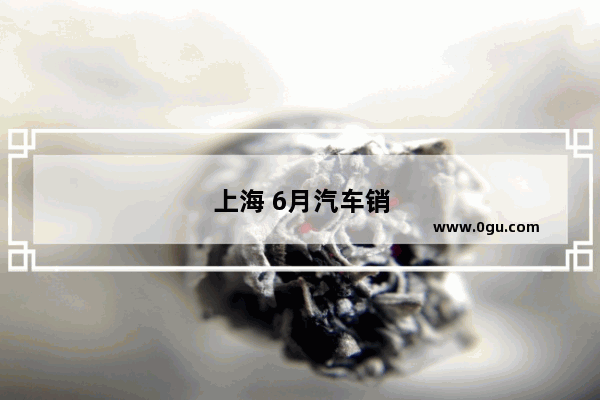 上海 6月汽车销量数据查询