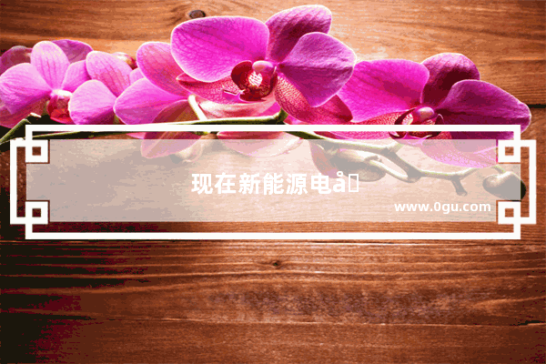 现在新能源电动汽车销量排行榜前十名