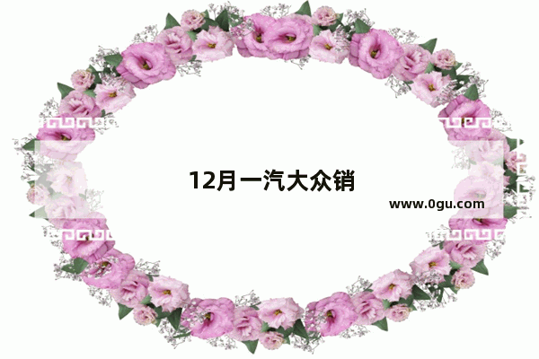 12月一汽大众销量