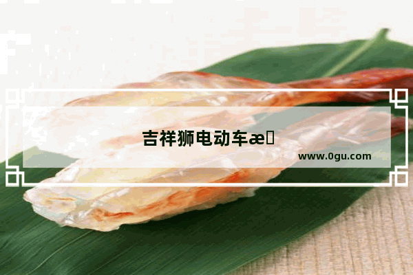 吉祥狮电动车怎么样