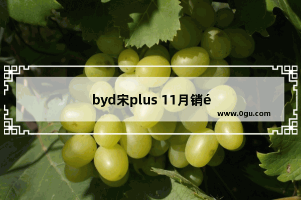 byd宋plus 11月销量