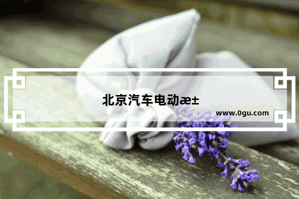 北京汽车电动汽车销量排行榜