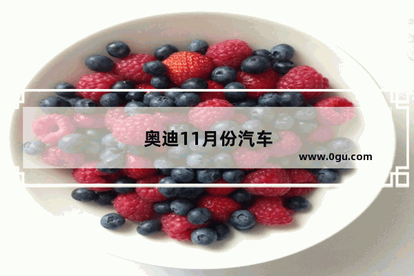 奥迪11月份汽车销量如何