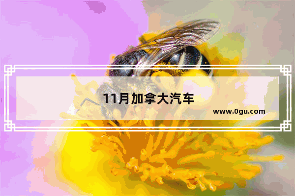 11月加拿大汽车销量如何