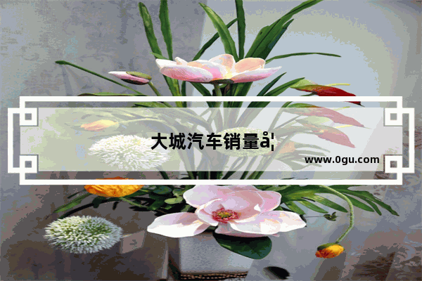 大城汽车销量如何