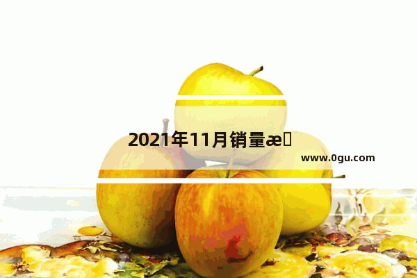 2021年11月销量排行suv