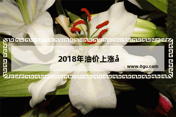2018年油价上涨如此之猛 中石油利润却翻倍了 怎么看