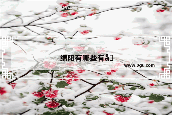 绵阳有哪些有名的卤菜？地址在哪里