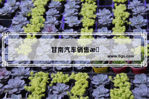 甘南汽车销售招聘信息