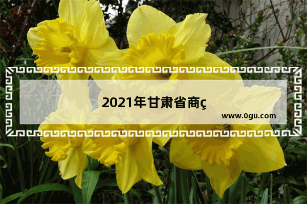 2021年甘肃省商用车销量