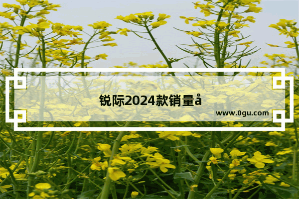 锐际2024款销量如何