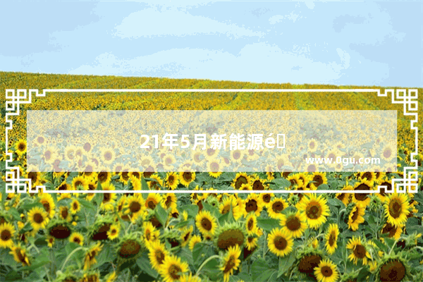 21年5月新能源销售排名榜