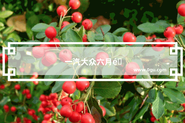 一汽大众六月销量