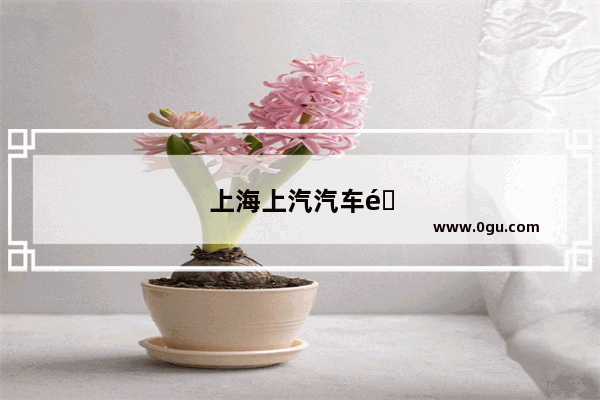 上海上汽汽车销量排名