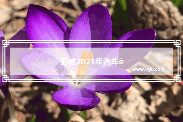 挪威2021年汽车销量如何