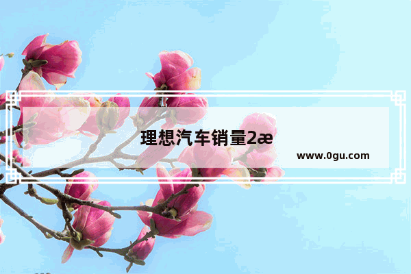 理想汽车销量2月多少台车