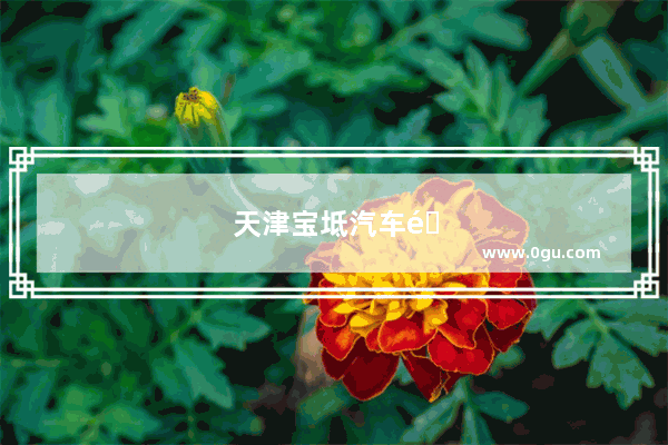 天津宝坻汽车销量排行榜最新