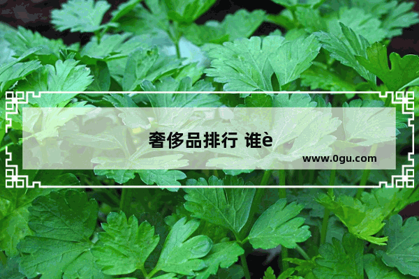 奢侈品排行 谁说一下